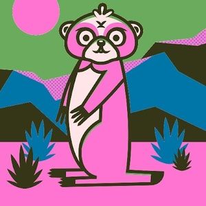 Meet your Posher, Brighton